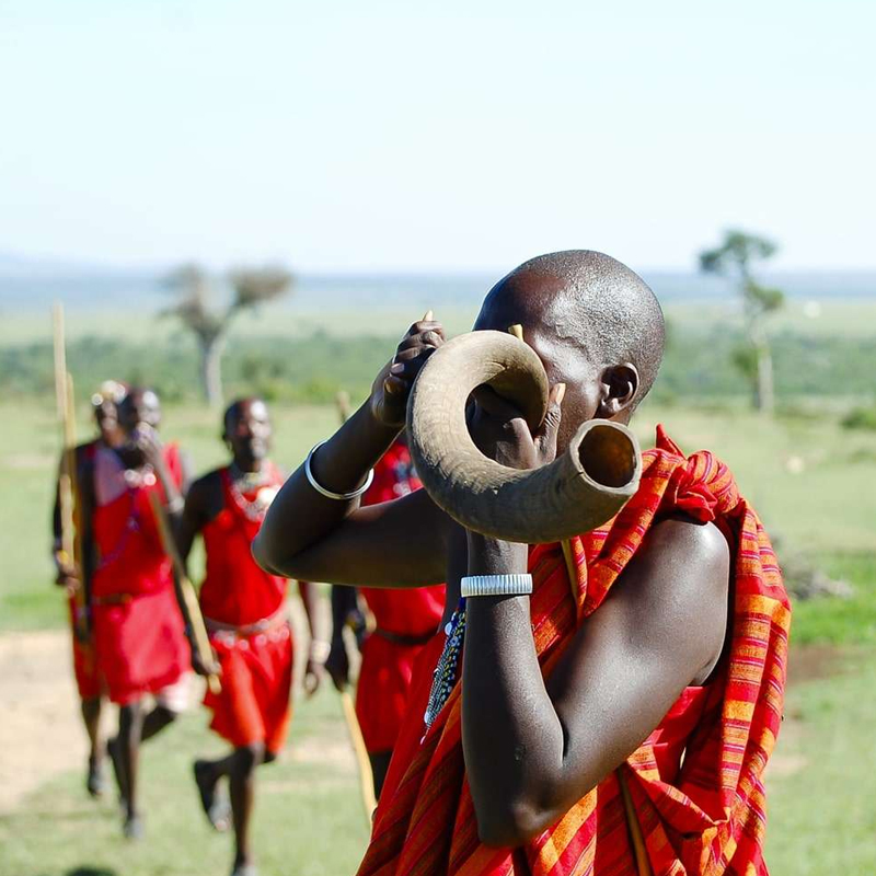 Maasai Mara safaris