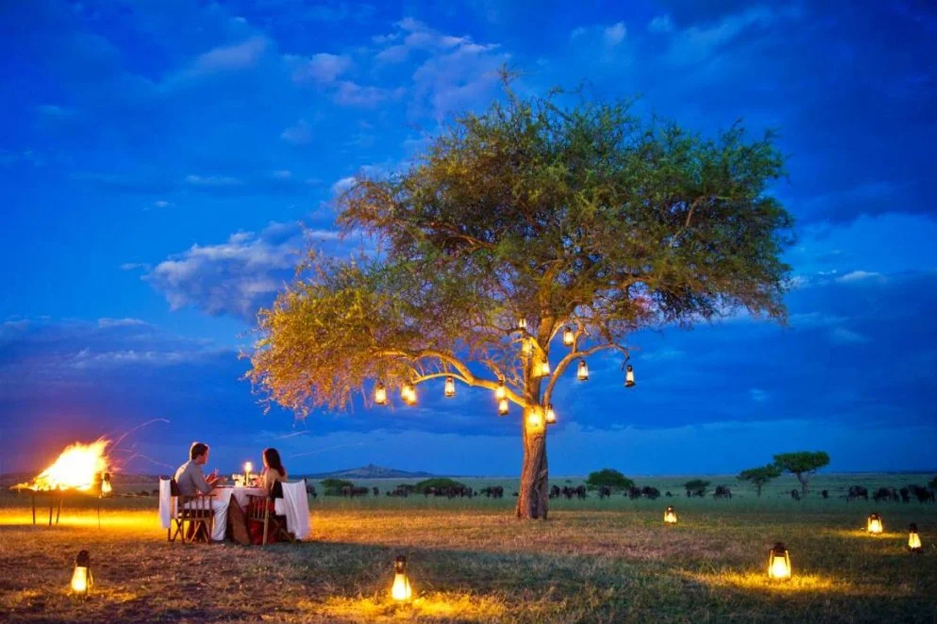 9 Days Honeymoon Safari