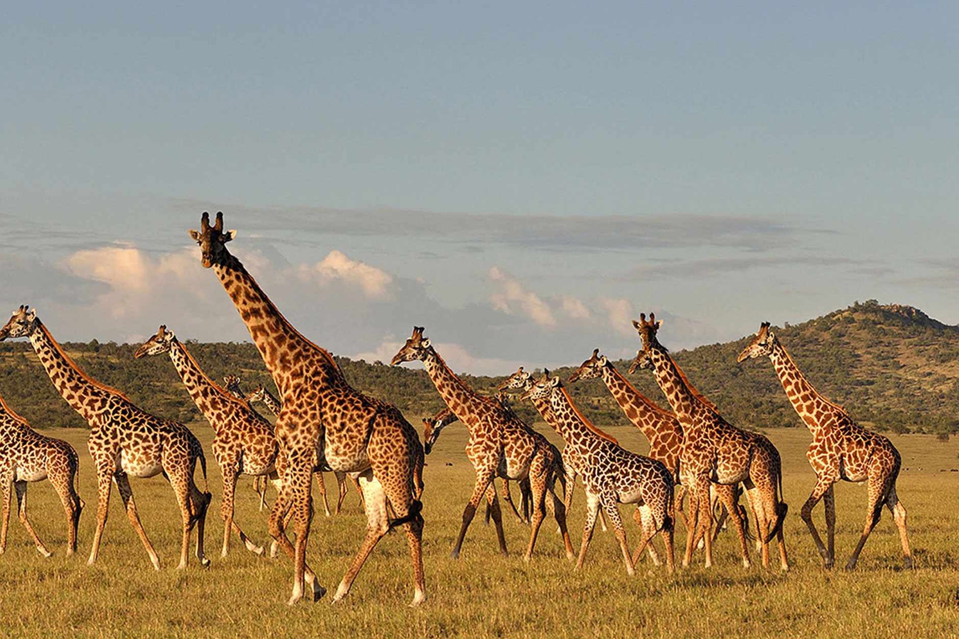 Lake Manyara National Park